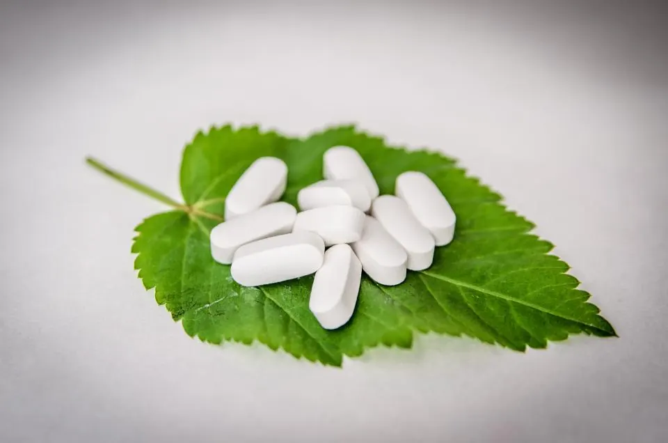 White tablets on a green leaf