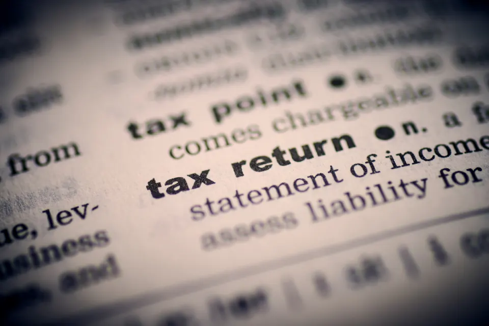 A dictionary entry for the words tax return