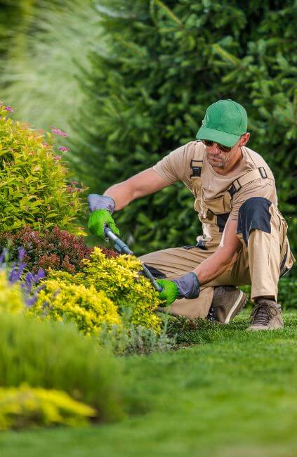 AusVeterans gardener trimming plants as part of DVA lawn mowing and gardening services. Supporting eligible veterans with outdoor maintenance and household help.