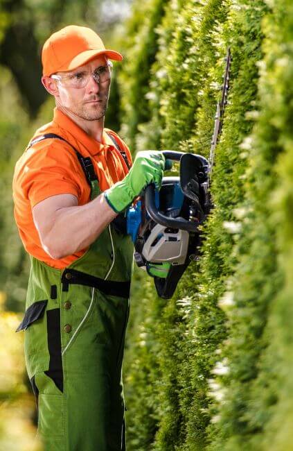 AusVeterans provider trimming hedges as part of DVA lawn mowing and gardening services. We help veterans maintain safe, tidy yards with DVA-funded outdoor support.